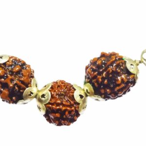 Abhimantrit Student Rudraksha 4-6-4 Mukhi (Face) Certified in Silver - Image 6