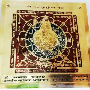 Abhimantrit Maha Mrityunjaya Yantra - Importance of Maha Mrityunjaya Yantra - Image 1