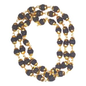 Abhimantrirt Golden Kalp Five Mukhi Rudraksha Mala (40/45 Bead) - Image 2