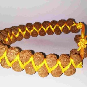 Abhimantrit- 2 Layer Rudraksha Bracelet ( Unisex ) - Image 3