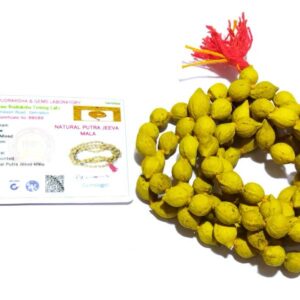 Abhimantrit Energized Putrajeevak Mala - Siddh Putra Prapti Mala & Certified (108+1) Beads - Image 2