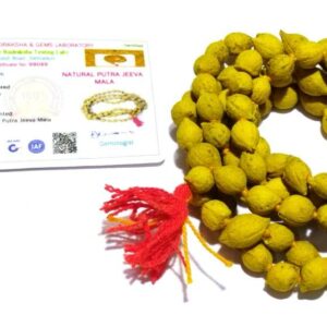 Abhimantrit Energized Putrajeevak Mala - Siddh Putra Prapti Mala & Certified (108+1) Beads - Image 9