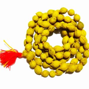 Abhimantrit Energized Putrajeevak Mala - Siddh Putra Prapti Mala & Certified (108+1) Beads - Image 7