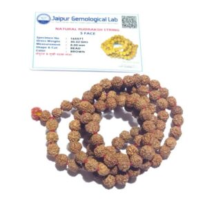 Certified 5 Mukhi Rudraksha Mala Big Size - 8mm with 108 Beads - Image 6