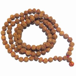 Certified 5 Mukhi Rudraksha Mala Big Size - 8mm with 108 Beads - Image 3