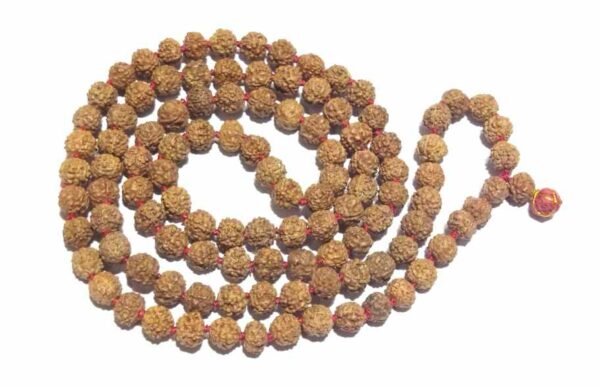 Abhimantrit Mukhi Rudraksha Mala Big Size Certified 8mm with 108 Beads