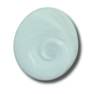 Abhimantrit Gomti Chakra Very Rare & Natural- Big Size - Image 1