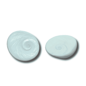 Abhimantrit Gomti Chakra Very Rare & Natural- Big Size {Set of 2} - Image 3