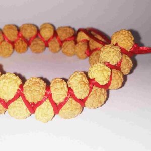 Abhimantrit- 2 Layer Rudraksha Bracelet with Unique Design ( Unisex ) - Image 2