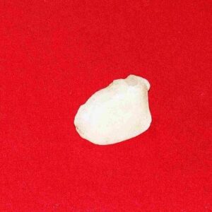 Machh Mani (Fish Pearl) & Natural 5 Carat - Image 1
