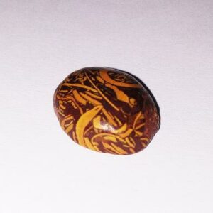 Abhimantrit Mariam Jasper Stone & Lab Certified 9.81 Carat - Image 3
