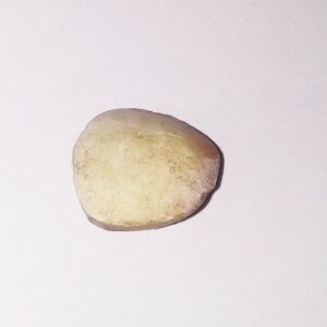 Abhimantrit Mach Mani (Fish Pearl) & Natural Browny Pearl ( 5 carat approx ) - Image 3