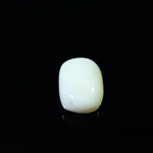 Abhimantrit White Coral Stone (Moonga) 7.25 Carat - Image 3