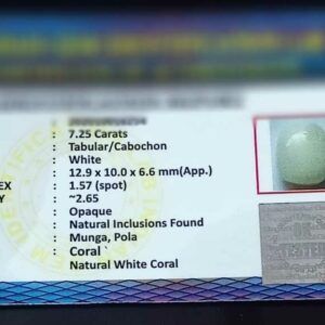 Abhimantrit White Coral Stone (Moonga) 7.25 Carat - Image 2