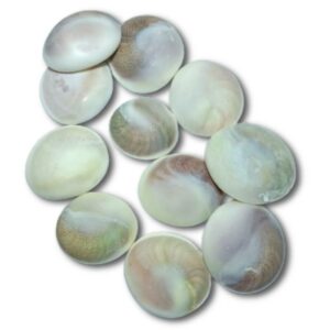 Gomti Chakra - Big Size {Set of 11} 1 Gomti Chakra = 2 Inch Approx - Image 2