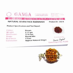 Abhimantrit 7 Mukhi Rudraksha Bead in Silver Pendant & Certified - Image 4