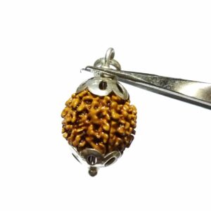 Abhimantrit 7 Mukhi Rudraksha Bead in Silver Pendant & Certified - Image 2