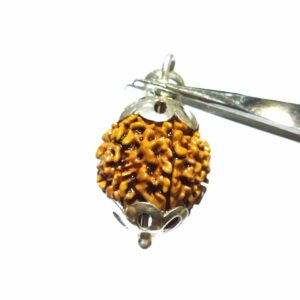 Abhimantrit 7 Mukhi Rudraksha Bead in Silver Pendant & Certified - Image 3