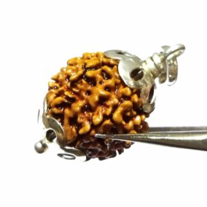 Abhimantrit 7 Mukhi Rudraksha Bead in Silver Pendant & Certified - Image 5