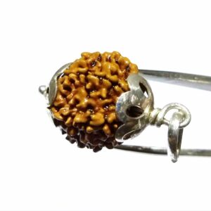 Abhimantrit 7 Mukhi Rudraksha Bead in Silver Pendant & Certified - Image 6