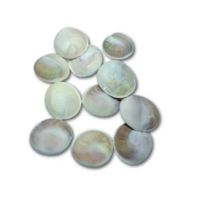 Gomti Chakra - Big Size {Set of 11} 1 Gomti Chakra = 2 Inch Approx - Image 3