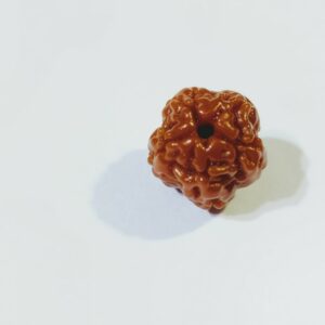 Abhimantrit Faceless Rudraksha (0 Mukhi Rudraksha) & Lab Certified- 10 mm - Image 7