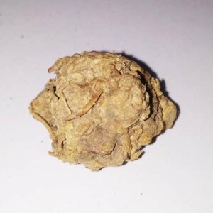 Dry Kali Haldi (Dry Black Turmeric) for Puja & Abhimantrit (11 Pieces) - Image 2