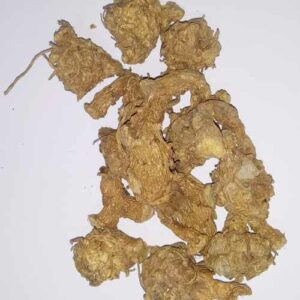 Dry Kali Haldi (Dry Black Turmeric) for Puja & Abhimantrit (11 Pieces) - Image 3