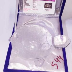 Certified Indian Sphatik Kachua Original & Natural 544 Gram - Image 1
