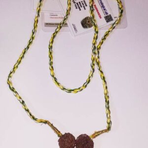 Abhimantrit Kemdrum Yog Rudraksha Mala 2, 4 and 5 Mukhi Rudraksha Bead - Image 4
