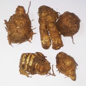 Abhimantrit Kali Haldi (Wet Black Turmeric) 100 Gram - Image 3