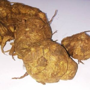 Abhimantrit Kali Haldi (Wet Black Turmeric) 100 Gram - Image 4