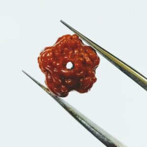 Abhimantrit Faceless Rudraksha (0 Mukhi Rudraksha) & Lab Certified- 10 mm - Image 2