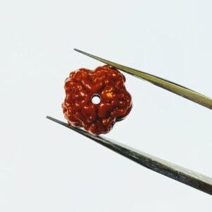 Abhimantrit Faceless Rudraksha (0 Mukhi Rudraksha) & Lab Certified- 10 mm - Image 3