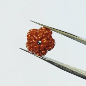 Abhimantrit Faceless Rudraksha (0 Mukhi Rudraksha) & Lab Certified- 10 mm - Image 4