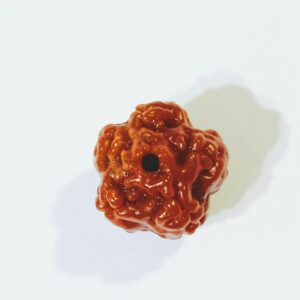 Abhimantrit Faceless Rudraksha (0 Mukhi Rudraksha) & Lab Certified- 10 mm - Image 5