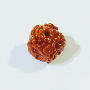 Abhimantrit Faceless Rudraksha (0 Mukhi Rudraksha) & Lab Certified- 10 mm - Image 6