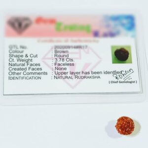 Abhimantrit Faceless Rudraksha (0 Mukhi Rudraksha) & Lab Certified- 10 mm - Image 1