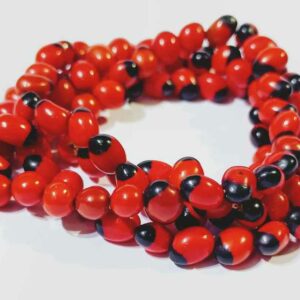 Abhimantrit Red & Black Gunja Mala Certified & Genuine Gunja - Image 4