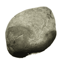 Very Rare Laxmi Narayan Shaligram 100% Genuine - 391 Gram (Lakshmi narayan) - Image 3