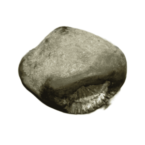 Very Rare Laxmi Narayan Shaligram 100% Genuine - 391 Gram (Lakshmi narayan) - Image 4