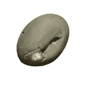 Very Rare & Special Laxmi Narayan Shaligram - 107Gram (Lakshmi narayan) - Image 3