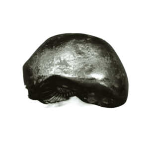 Very Rare Laxmi Narayan Shaligram Authentic & Genuine - 276 Gram (Lakshmi narayan) - Image 2