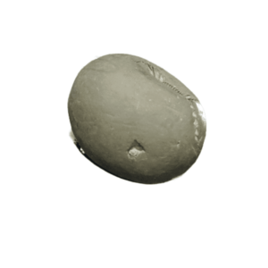 Very Rare & Special Laxmi Narayan Shaligram - 107Gram (Lakshmi narayan) - Image 2
