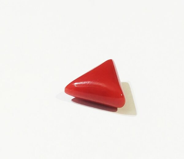 Abhimantrit Triangle Red Coral (Trikona Moonga) Stone Certified Carat