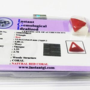 Abhimantrit Triangle Red Coral (Trikona Moonga) Stone & Certified - 6.80 Carat - Image 2