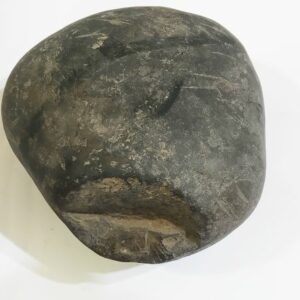 Laxmi Narayan Shaligram Very Special & 100% Genuine – 863 Gram (Lakshmi narayan) - Image 4