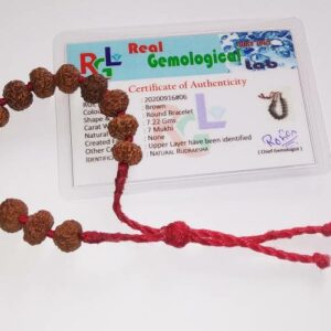 Abhimantrit- 7 Mukhi Rudraksha Bracelet ( Unisex ) & Lab Certified - Image 1