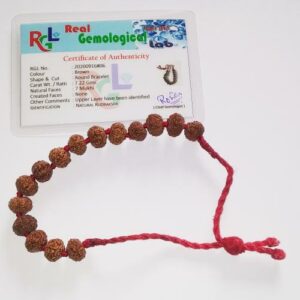 Abhimantrit- 7 Mukhi Rudraksha Bracelet ( Unisex ) & Lab Certified - Image 3