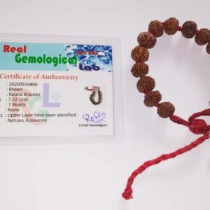 Abhimantrit- 7 Mukhi Rudraksha Bracelet ( Unisex ) & Lab Certified - Image 4